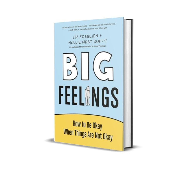 Big Feelings: How to Be Okay When Things Are Not Okay